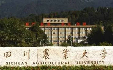 2025年四川農(nóng)業(yè)大學(xué)管理學(xué)院公共管理碩士（MPA）非全日制研究生招生簡章