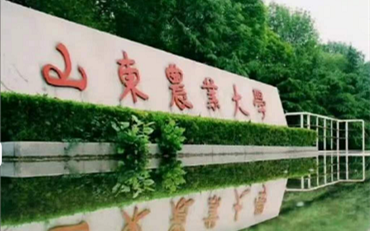 2025年山東農業(yè)大學動物醫(yī)學院獸醫(yī)碩士非全日制研究生招生簡章