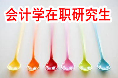會計學(xué)在職研究生有沒有開設(shè)網(wǎng)絡(luò)班？