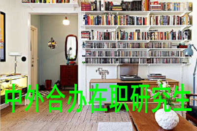中外合辦在職研究生的上課方式適合在職人員嗎？