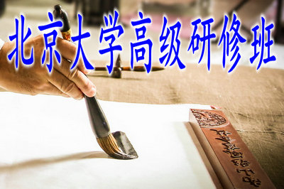 北京大學(xué)高級(jí)研修班可選專業(yè)多嗎？