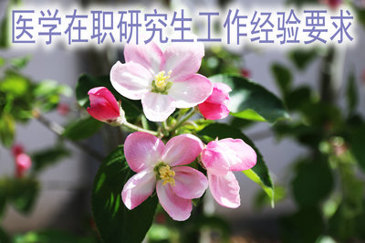 有工作經(jīng)驗對報考醫(yī)學(xué)在職研究生很重要嗎？