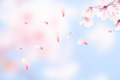 報考2019年在職研究生?需要做哪些準(zhǔn)備？