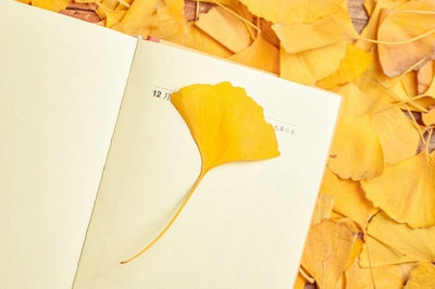 公共管理在職研究生取得證書容易嗎？