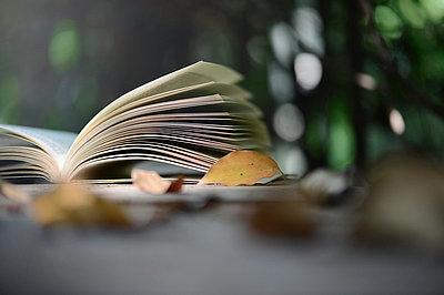 大專報考在職研究生拿到的證書含金量怎么樣？