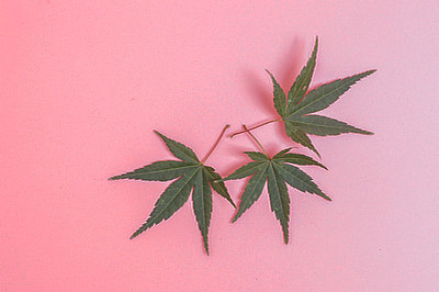 報(bào)考在職研究生的原因有哪些？