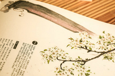 中國社會科學院在職研究生支持遠程授課嗎？