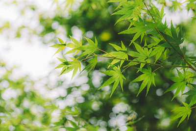 山東在職研究生報(bào)名步驟詳解！