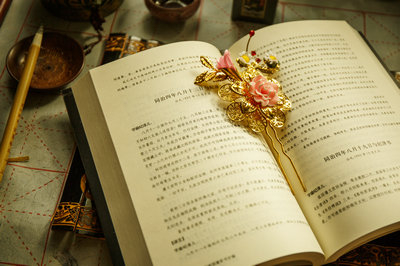 2019年中國(guó)社會(huì)科學(xué)院在職研究生有沒(méi)有開(kāi)設(shè)政治學(xué)專(zhuān)業(yè)？