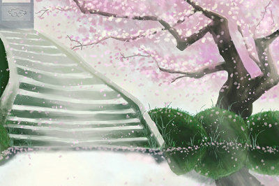 2019年山東大學(xué)在職研究生考試內(nèi)容都包括什么？