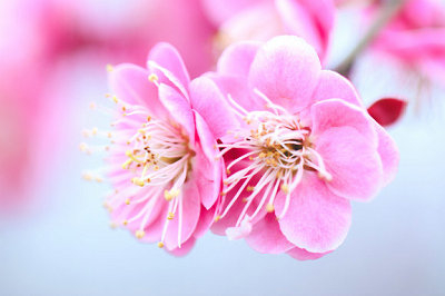 淺談報(bào)考中國(guó)社會(huì)科學(xué)院在職研究生就業(yè)前景怎么樣？