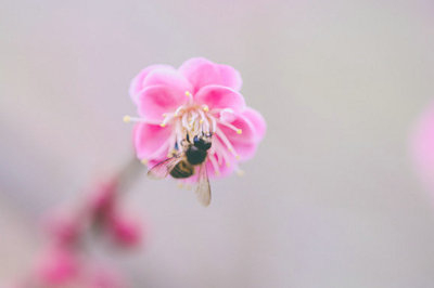 你居然沒考研！看看報考對外經(jīng)濟(jì)貿(mào)易大學(xué)在職研究生這些優(yōu)勢！