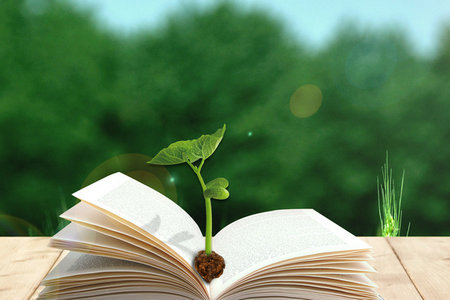 報考對外經(jīng)濟(jì)貿(mào)易大學(xué)在職研究生需要參加面試嗎？