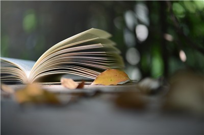 2019年上海對(duì)外經(jīng)貿(mào)大學(xué)在職研究生報(bào)名要提交哪些資料？