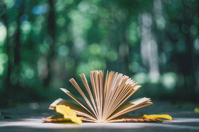 南昌大學在職研究生面授班在什么時候上課？