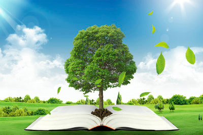 2020年天津大學(xué)在職研究生報(bào)考流程解析！