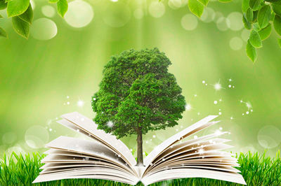 社會(huì)保障在職研究生報(bào)考流程詳解！