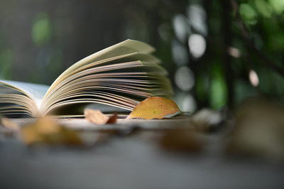 世界經(jīng)濟(jì)在職研究生上課方式有哪些？