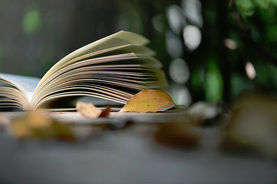在職考研！環(huán)境科學與工程在職研究生考試科目是什么？