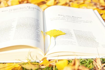 農(nóng)村與區(qū)域發(fā)展在職研究生有用嗎？