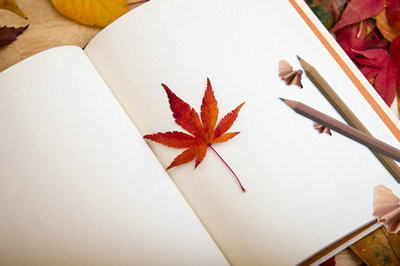 日語(yǔ)筆譯在職研究生是單證還是雙證？