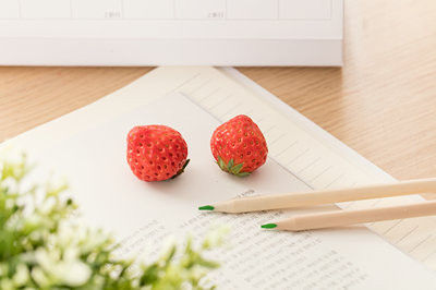重點！遼寧在職研究生報考方式有哪些？