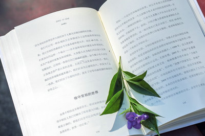 免聯(lián)考國(guó)際碩士