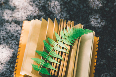 南方醫(yī)科大學(xué)在職研究生招生簡(jiǎn)章