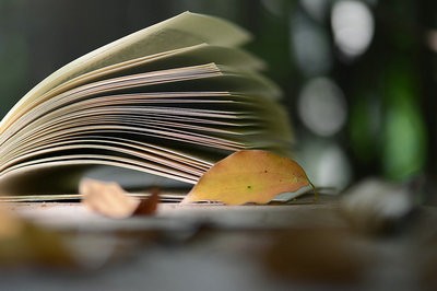 西南交通大學在職研究生申碩科目，你知道有哪些嗎？