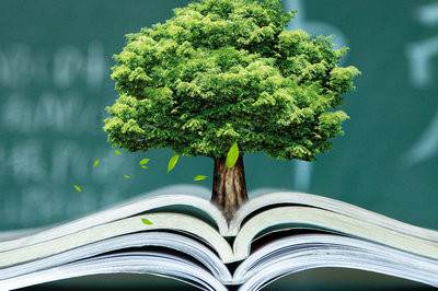 河南財(cái)經(jīng)政法大學(xué)在職研究生報(bào)考流程是什么