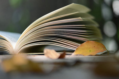 江西師范大學(xué)在職研究生幾月份招生？
