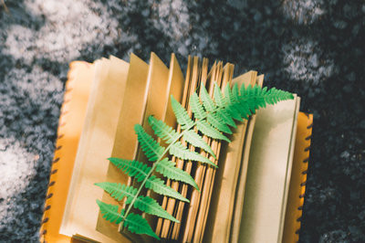 江西師范大學在職研究生同等學力申碩怎么上課