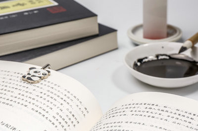沈陽師范大學(xué)在職研究生政策是什么？