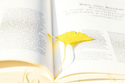2023年浙江師范大學在職研究生考試時間安排是什么？