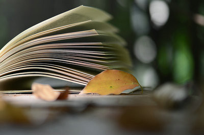 報考海南在職研究生含金量怎么樣？