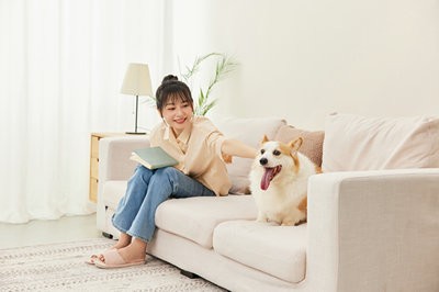沈陽(yáng)工業(yè)大學(xué)在職研究生報(bào)考途徑