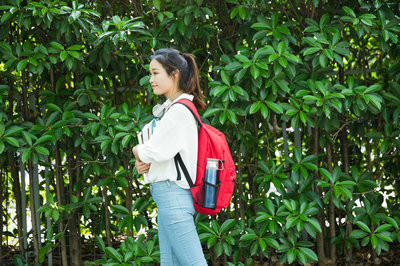 南京師范大學在職研究生初試需要考什么？