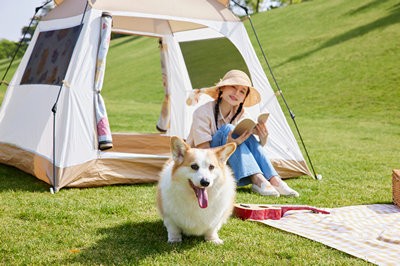 2024年西北政法大學在職研究生有哪些熱門專業(yè)？