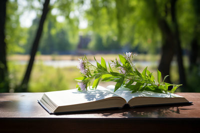 哈爾濱工程大學(xué)在職研究生和全日制區(qū)別是什么？