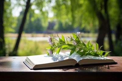 石家莊鐵道大學(xué)在職研究生和全日制區(qū)別是什么？