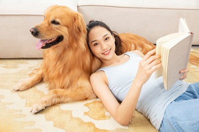 2024石家莊鐵道大學(xué)非全日制研究生報(bào)考條件及流程
