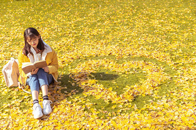 沈陽師范大學非全日制研究生含金量高嗎？
