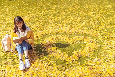 2025汕頭大學(xué)在職研究生報(bào)考途徑有哪些？