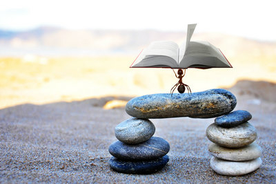 安徽在職研究生考試難度大嗎？