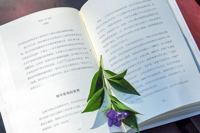 留學(xué)生報(bào)考在職研究生適合嗎？