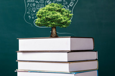 本科無(wú)學(xué)位能報(bào)考2021年上海對(duì)外經(jīng)貿(mào)大學(xué)在職研究生嗎？