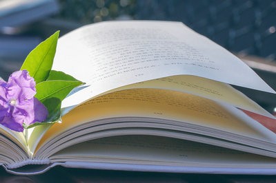 哪些人適合報(bào)考東北林業(yè)大學(xué)在職研究生？