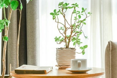 在哪兒報考2022年在職研究生？