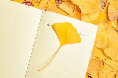 農(nóng)村與區(qū)域發(fā)展在職研究生是不是只有專碩一種報考方式？