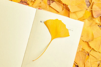 農(nóng)村與區(qū)域發(fā)展在職研究生